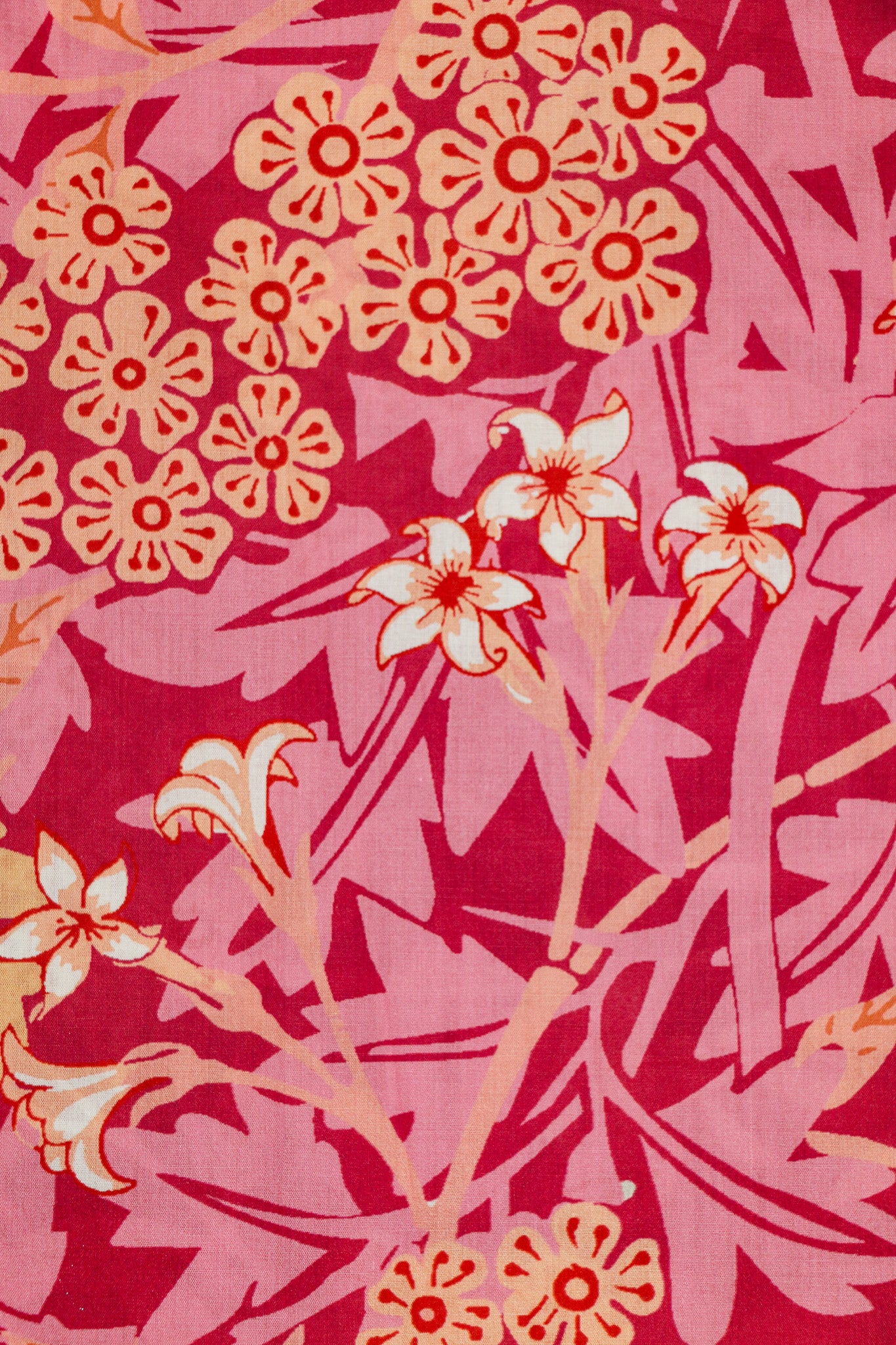 Crimson Canopy