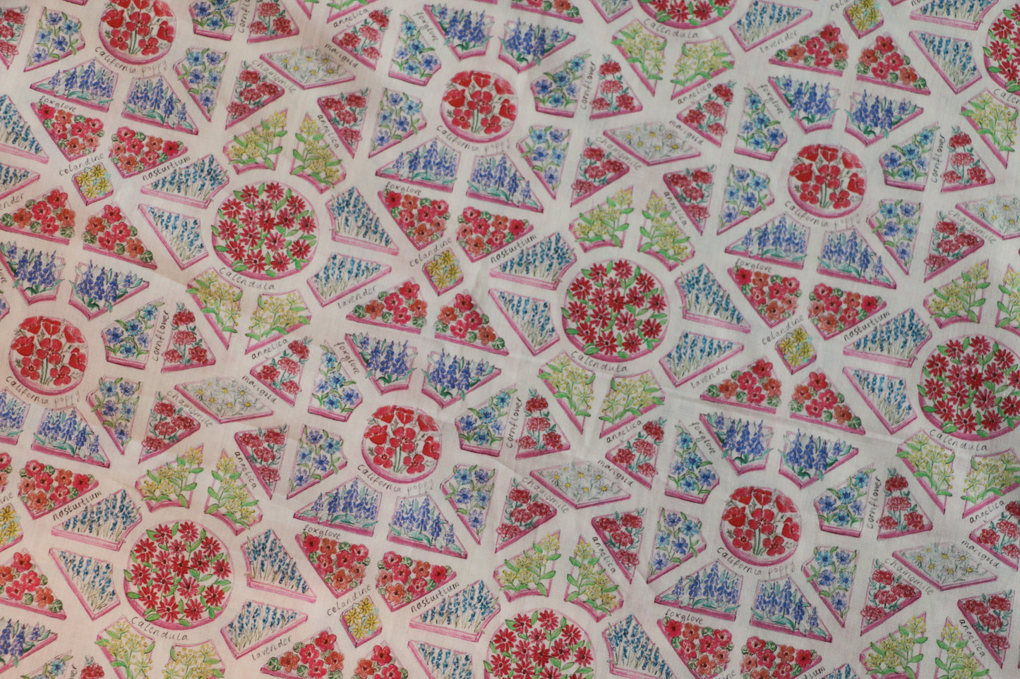 The Cartographer’s Garden