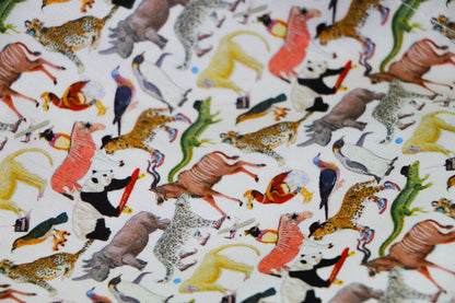 Wild Whim Parade