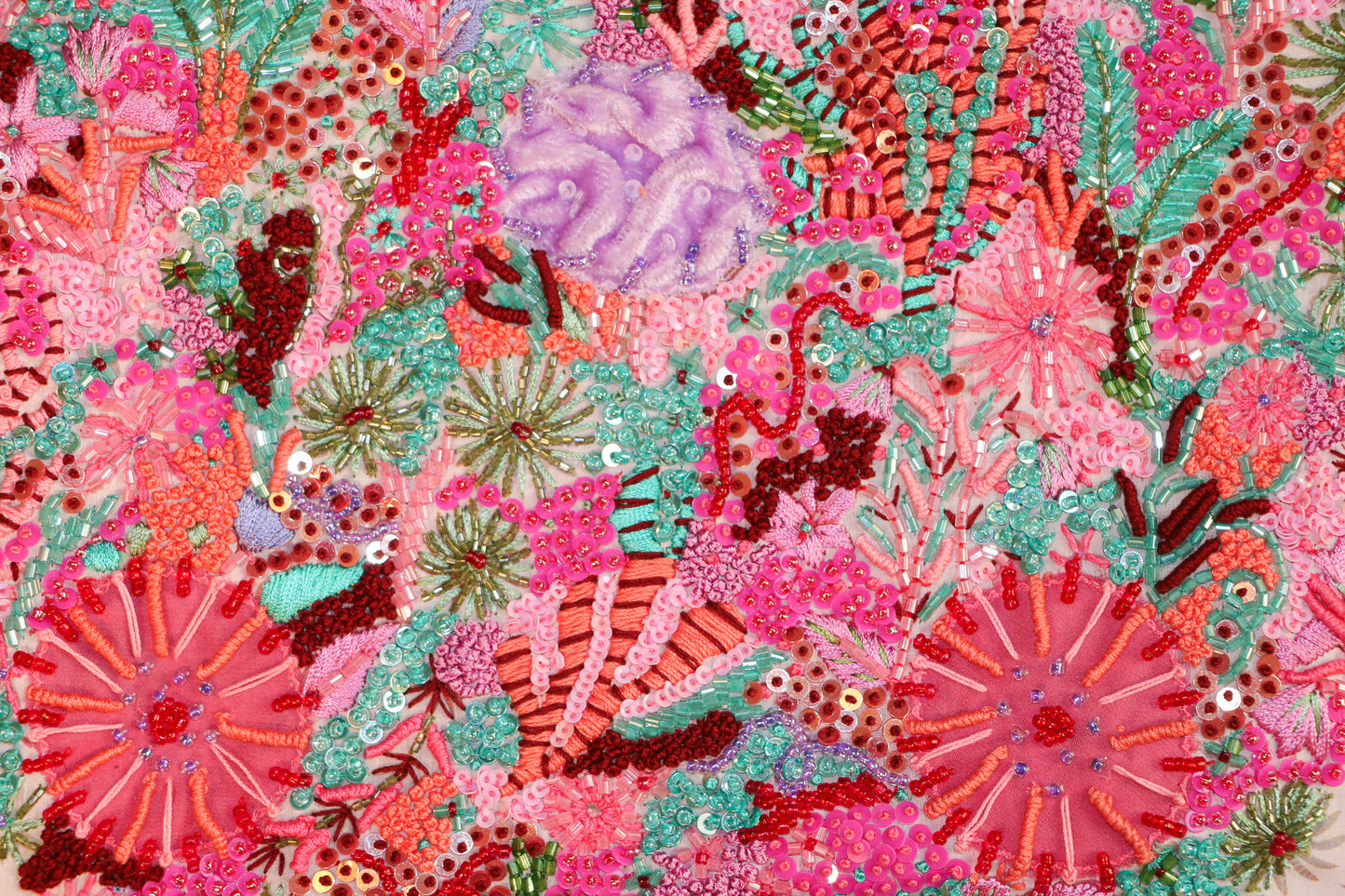 Coral Garden